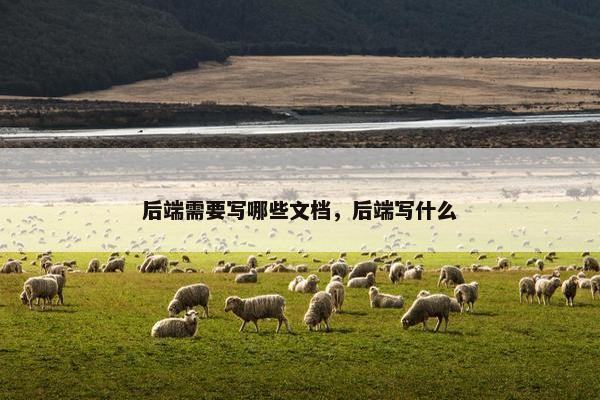 后端需要写哪些文档，后端写什么