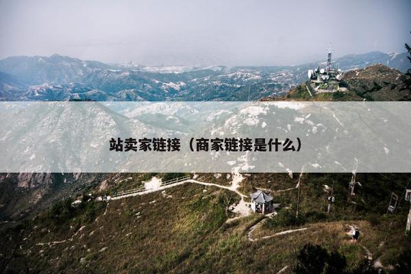 站卖家链接（商家链接是什么）