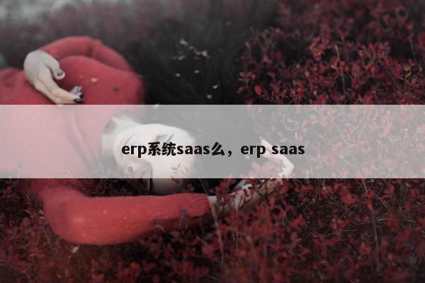 erp系统saas么，erp saas