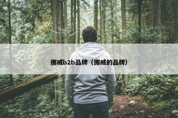 挪威b2b品牌（挪威的品牌）