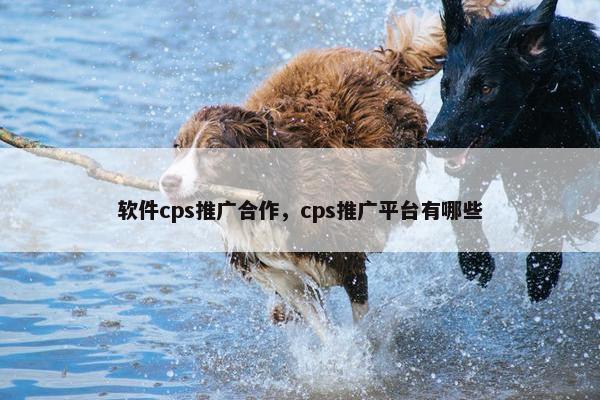 软件cps推广合作，cps推广平台有哪些