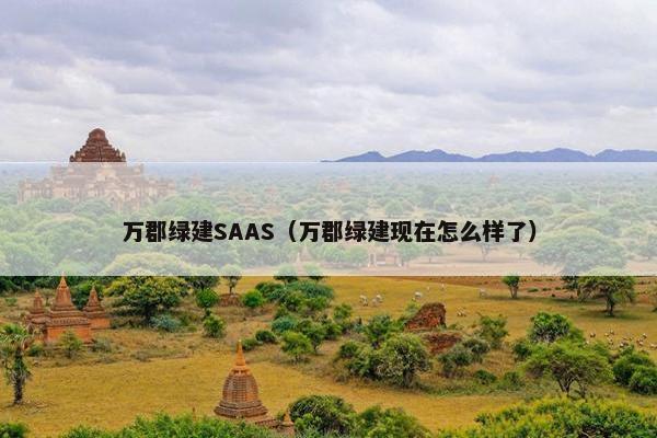 万郡绿建SAAS（万郡绿建现在怎么样了）
