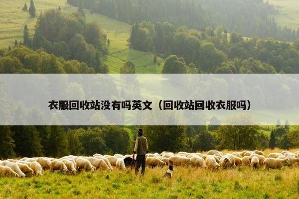 衣服回收站没有吗英文（回收站回收衣服吗）