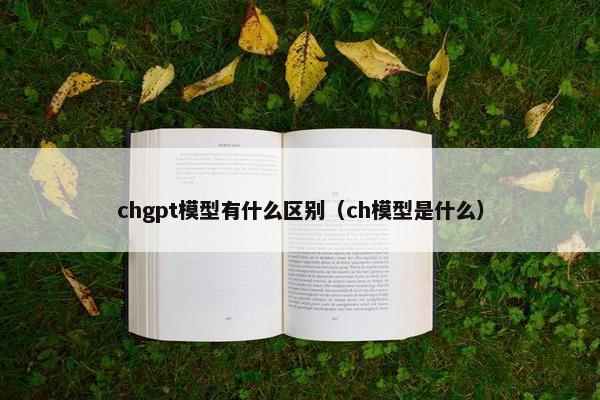 chgpt模型有什么区别（ch模型是什么）