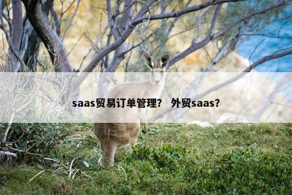 saas贸易订单管理？ 外贸saas？