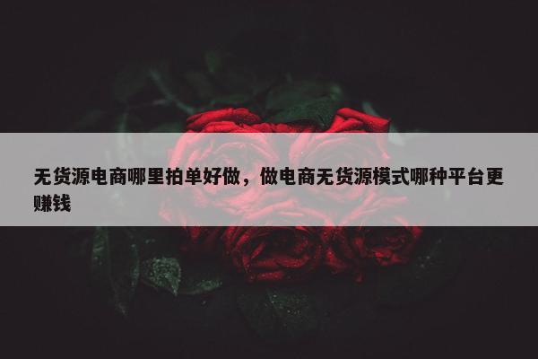 无货源电商哪里拍单好做，做电商无货源模式哪种平台更赚钱