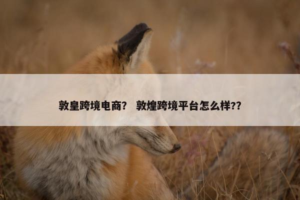敦皇跨境电商？ 敦煌跨境平台怎么样?？
