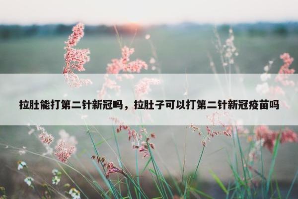 拉肚能打第二针新冠吗，拉肚子可以打第二针新冠疫苗吗