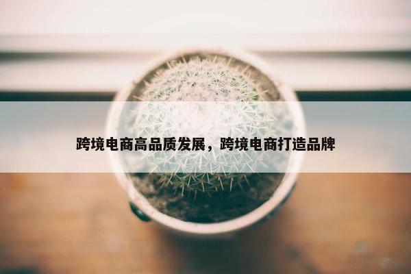 跨境电商高品质发展，跨境电商打造品牌