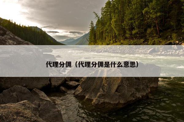 代理分佣（代理分佣是什么意思）
