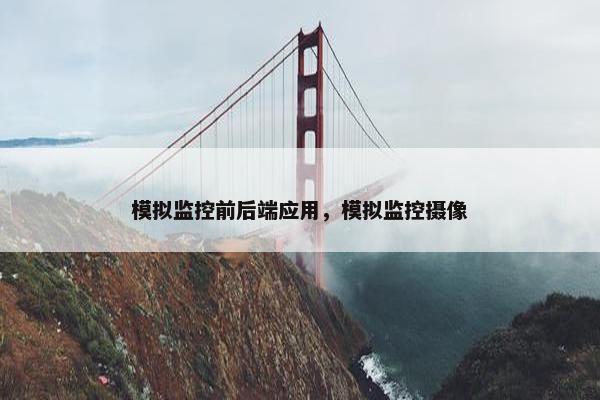 模拟监控前后端应用，模拟监控摄像