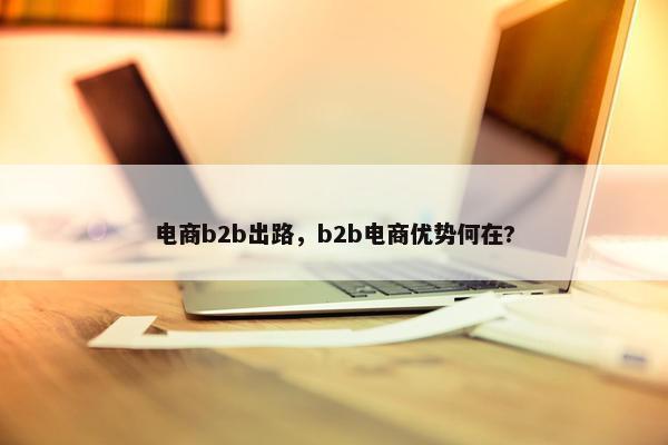 电商b2b出路，b2b电商优势何在?