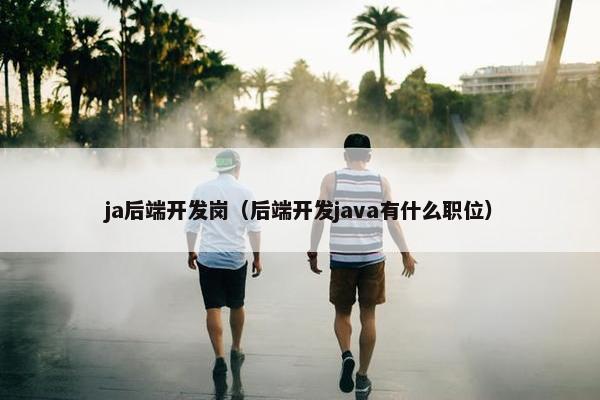 ja后端开发岗（后端开发java有什么职位）