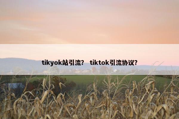 tikyok站引流？ tiktok引流协议？