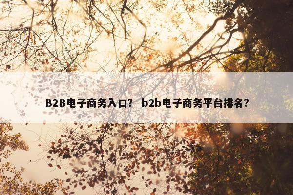 B2B电子商务入口？ b2b电子商务平台排名？