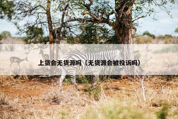 上货会无货源吗（无货源会被投诉吗）