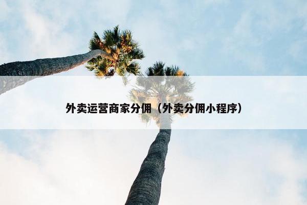 外卖运营商家分佣（外卖分佣小程序）