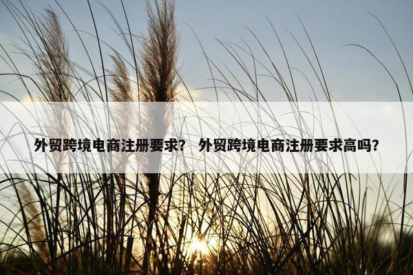 外贸跨境电商注册要求？ 外贸跨境电商注册要求高吗？