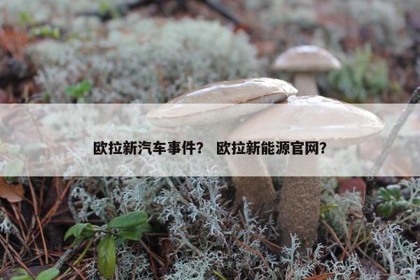 欧拉新汽车事件？ 欧拉新能源官网？