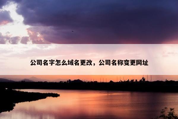 公司名字怎么域名更改，公司名称变更网址