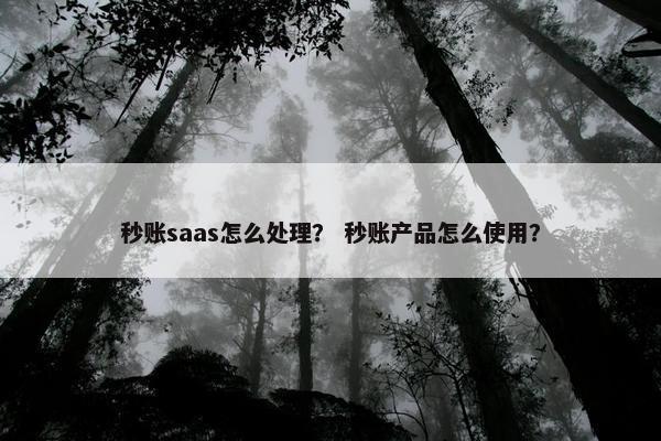 秒账saas怎么处理？ 秒账产品怎么使用？