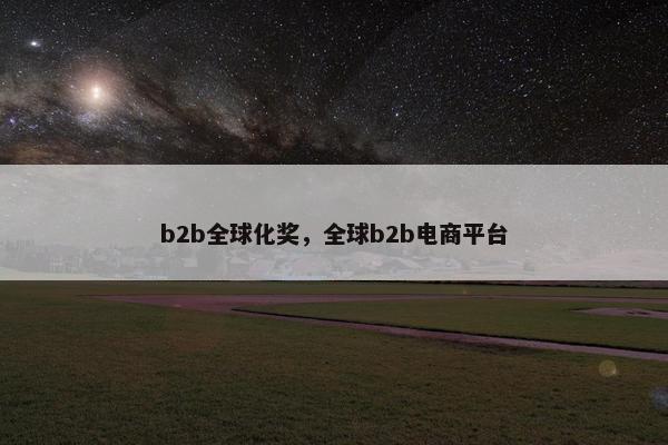 b2b全球化奖，全球b2b电商平台