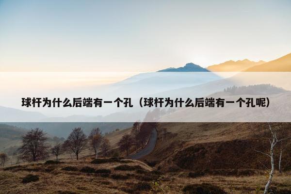 球杆为什么后端有一个孔（球杆为什么后端有一个孔呢）