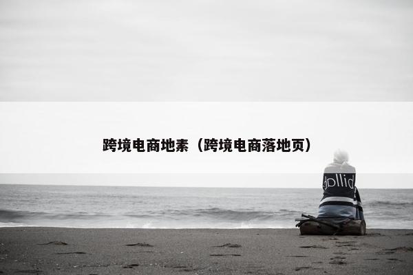 跨境电商地素（跨境电商落地页）