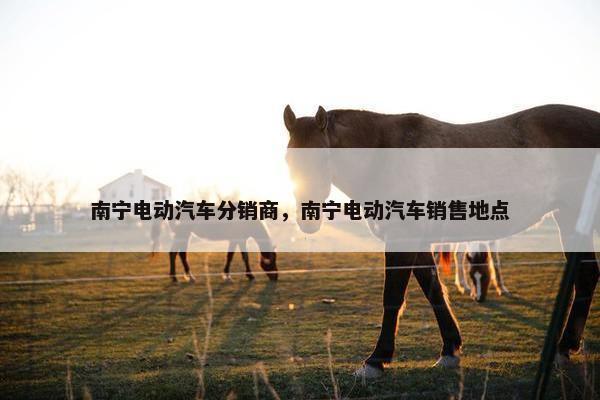 南宁电动汽车分销商，南宁电动汽车销售地点