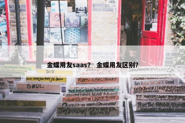 金蝶用友saas？ 金蝶用友区别？