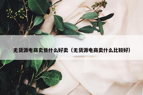 无货源电商卖些什么好卖（无货源电商卖什么比较好）