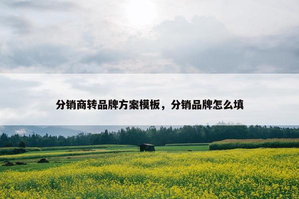 分销商转品牌方案模板，分销品牌怎么填