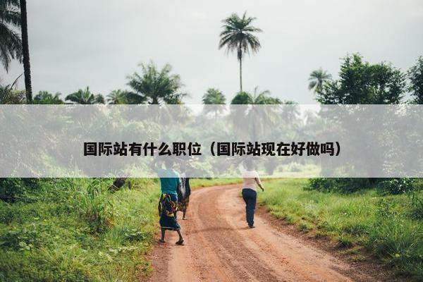 国际站有什么职位（国际站现在好做吗）