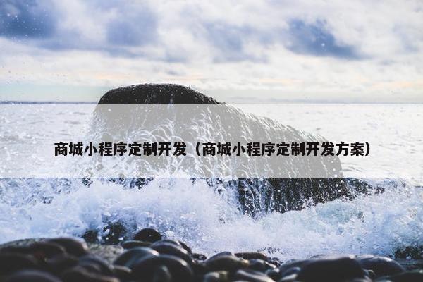 商城小程序定制开发（商城小程序定制开发方案）