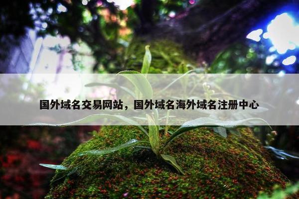 国外域名交易网站，国外域名海外域名注册中心