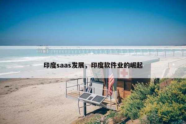 印度saas发展，印度软件业的崛起
