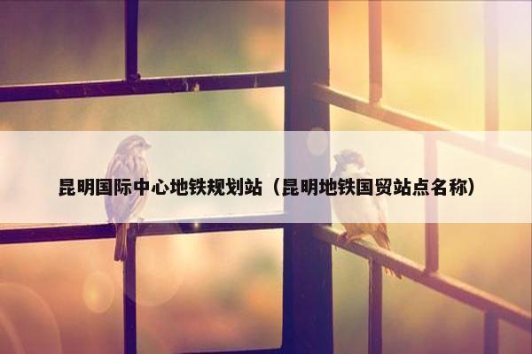 昆明国际中心地铁规划站（昆明地铁国贸站点名称）