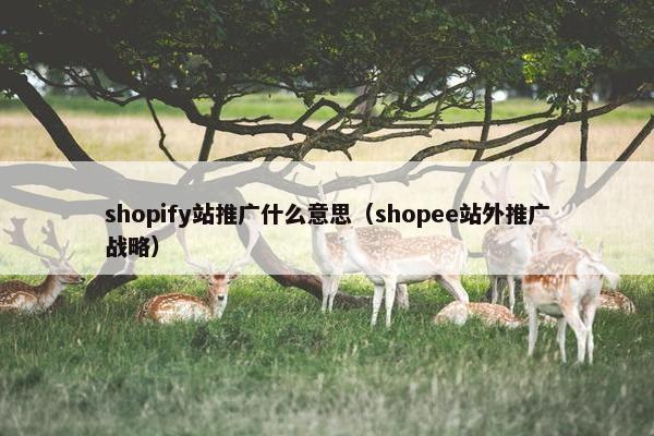 shopify站推广什么意思（shopee站外推广战略）