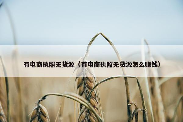 有电商执照无货源（有电商执照无货源怎么赚钱）