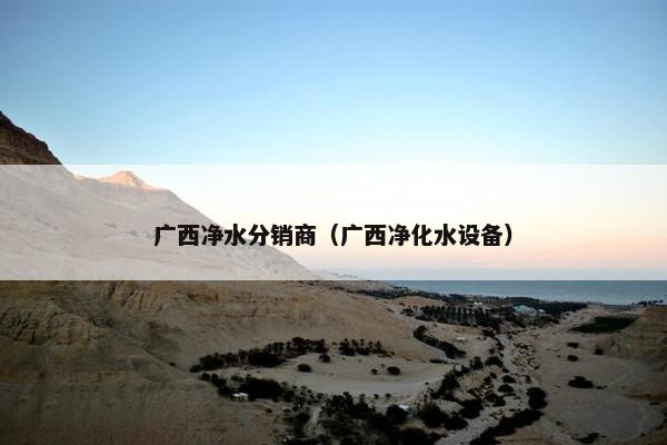 广西净水分销商（广西净化水设备）