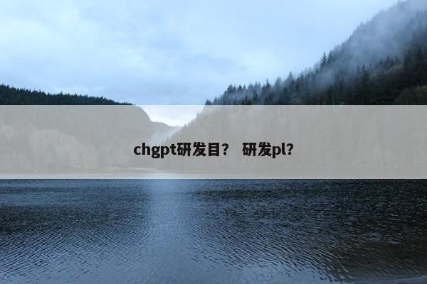 chgpt研发目？ 研发pl？