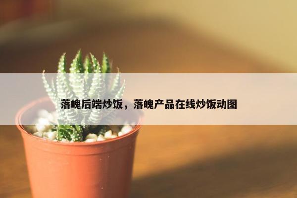 落魄后端炒饭，落魄产品在线炒饭动图