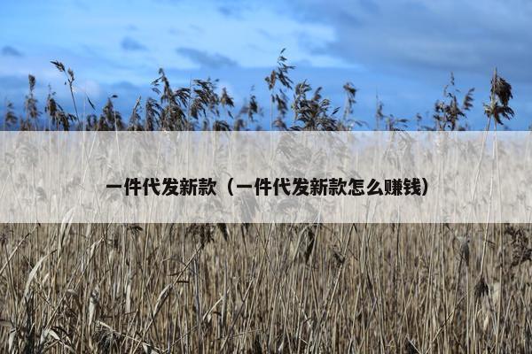 一件代发新款（一件代发新款怎么赚钱）