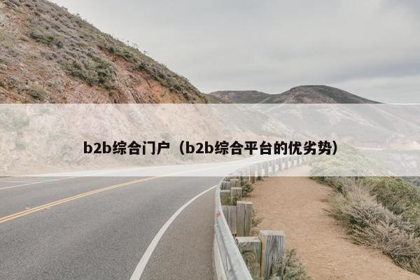 b2b综合门户（b2b综合平台的优劣势）