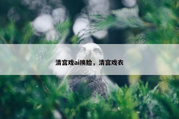 清宫戏ai换脸，清宫戏衣