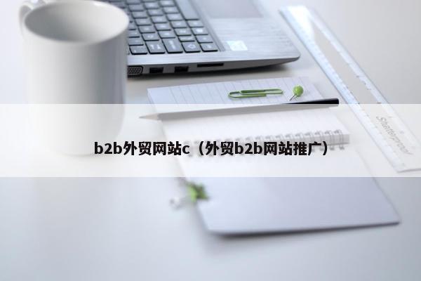 b2b外贸网站c（外贸b2b网站推广）