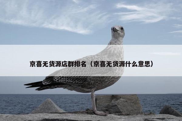 京喜无货源店群排名（京喜无货源什么意思）