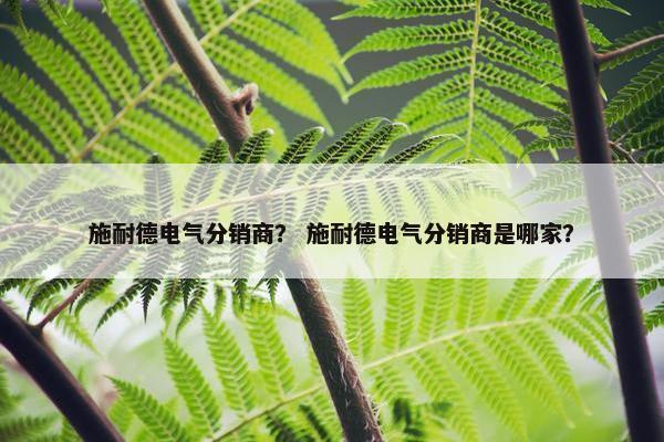 施耐德电气分销商？ 施耐德电气分销商是哪家？