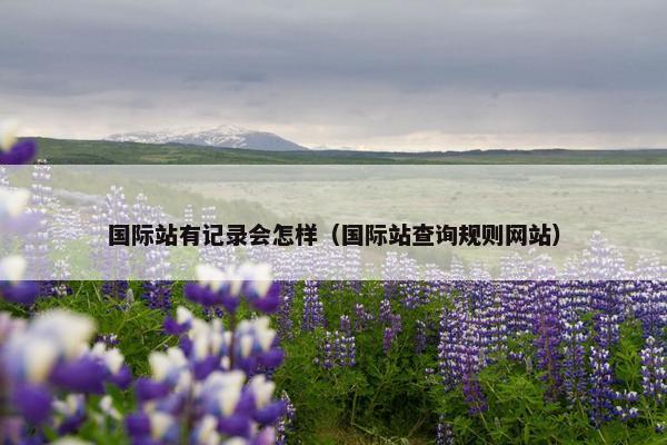国际站有记录会怎样（国际站查询规则网站）