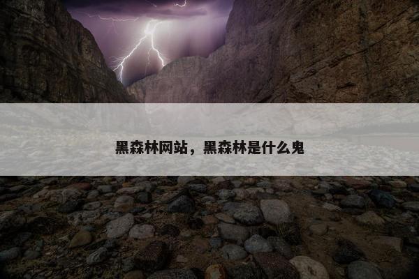 黑森林网站，黑森林是什么鬼
